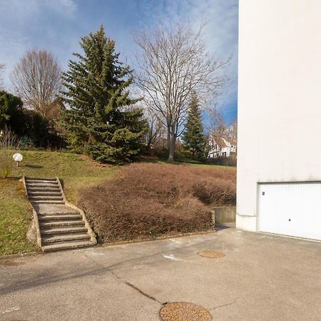 Travel Homes - Le Rebberg, Superbe Vue A Mulhouse Bagian luar foto