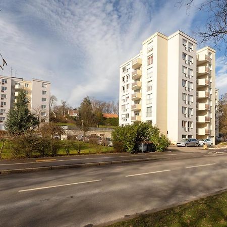 Travel Homes - Le Rebberg, Superbe Vue A Mulhouse Bagian luar foto