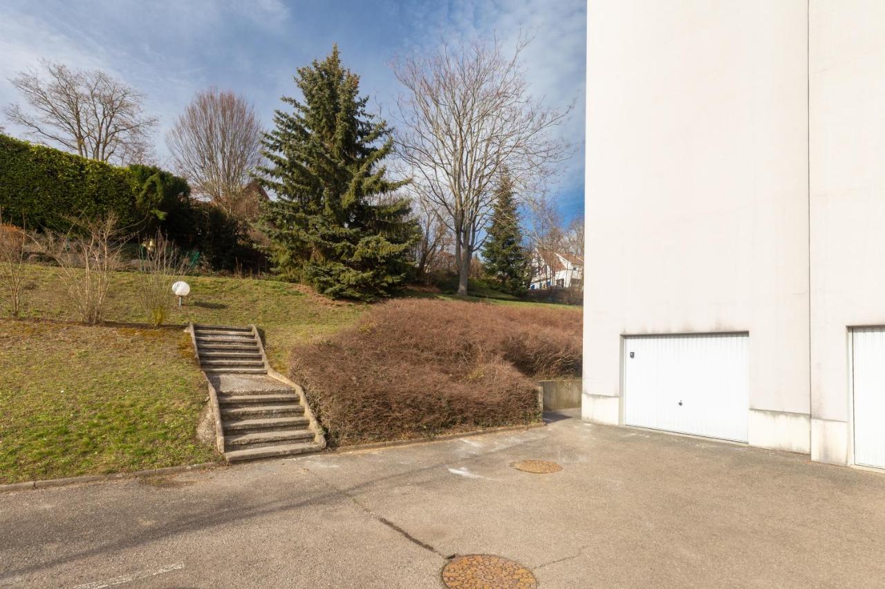 Travel Homes - Le Rebberg, Superbe Vue A Mulhouse Bagian luar foto