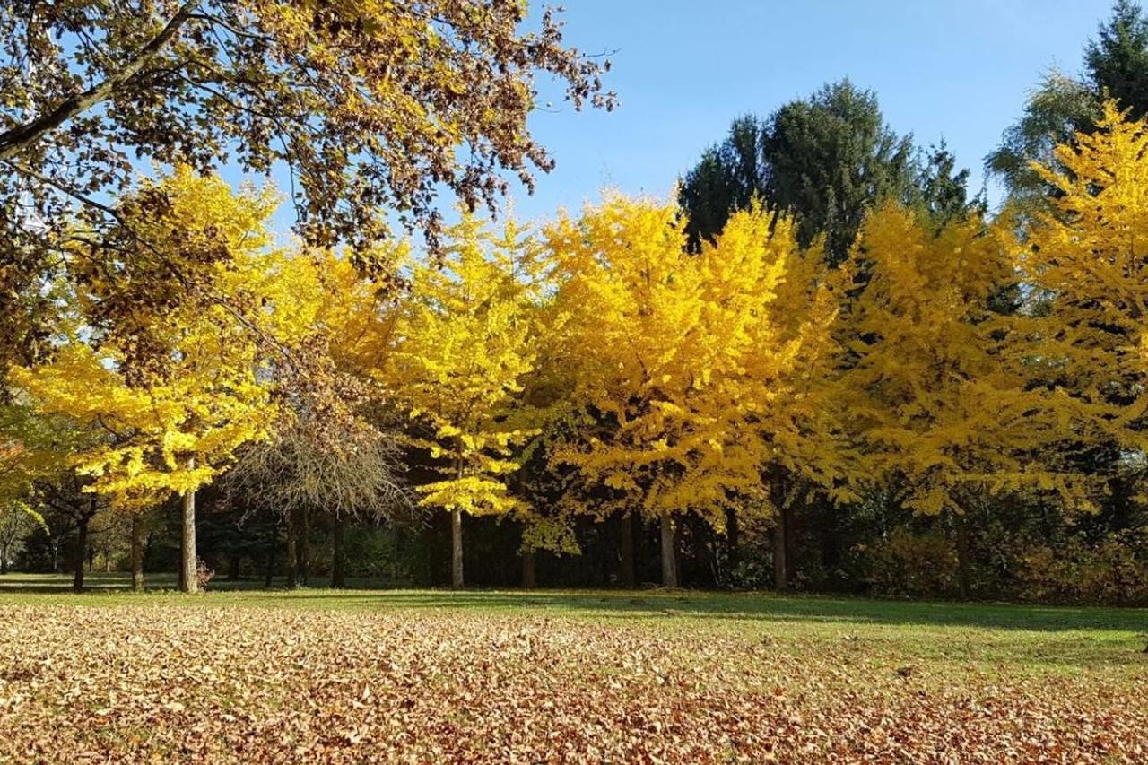 Travel Homes - Le Rebberg, Superbe Vue A Mulhouse Bagian luar foto